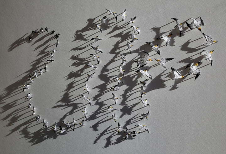 Insatiable Gannets 3D Thread Sculpture. #3.