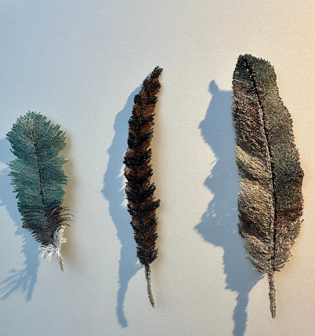 NZ bird feathers 3D Thread Sculpture.