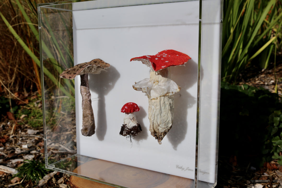 Amanita fungi of New Zealand 3D Thread Sculpture.