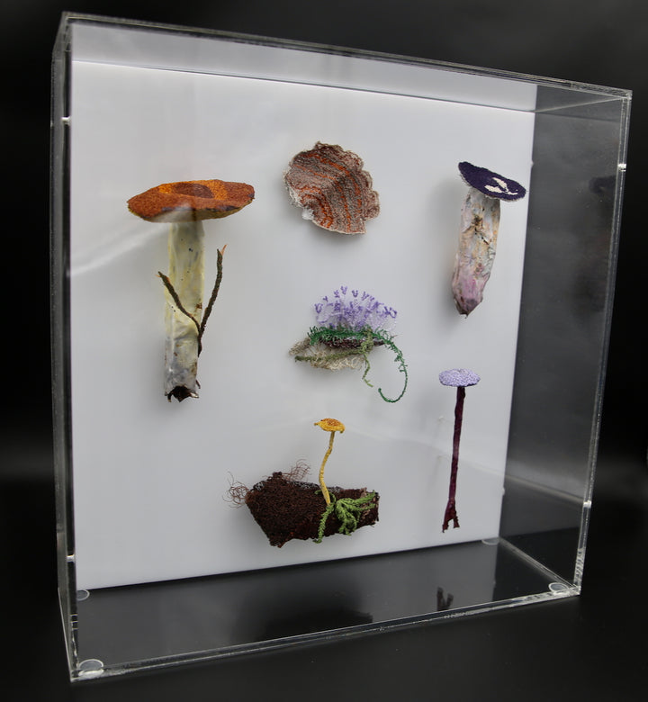 Fungi of New Zealand 3D Thread Sculpture #16.