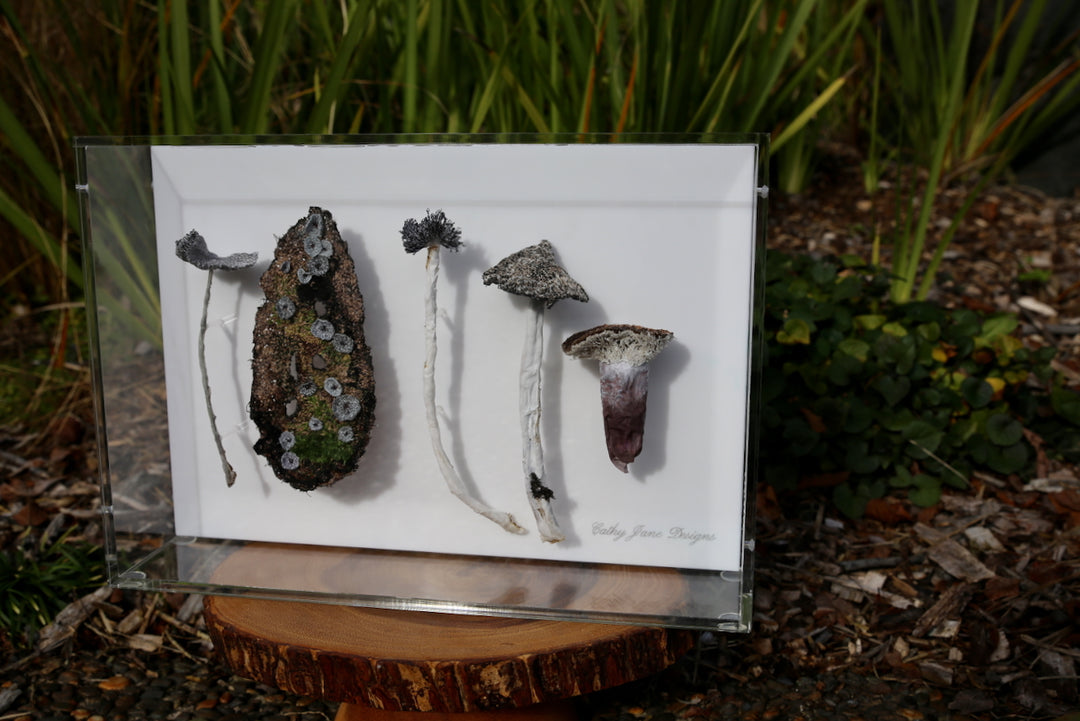 Fungi of New Zealand 3D Thread Sculpture #6.