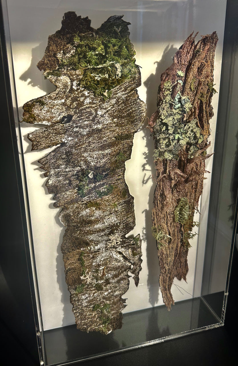 Silver birch and Kanuka tree bark 3D Thread Sculpture.