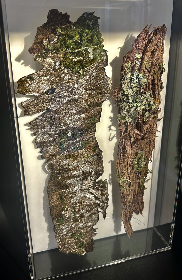 Silver birch and Kanuka tree bark 3D Thread Sculpture.