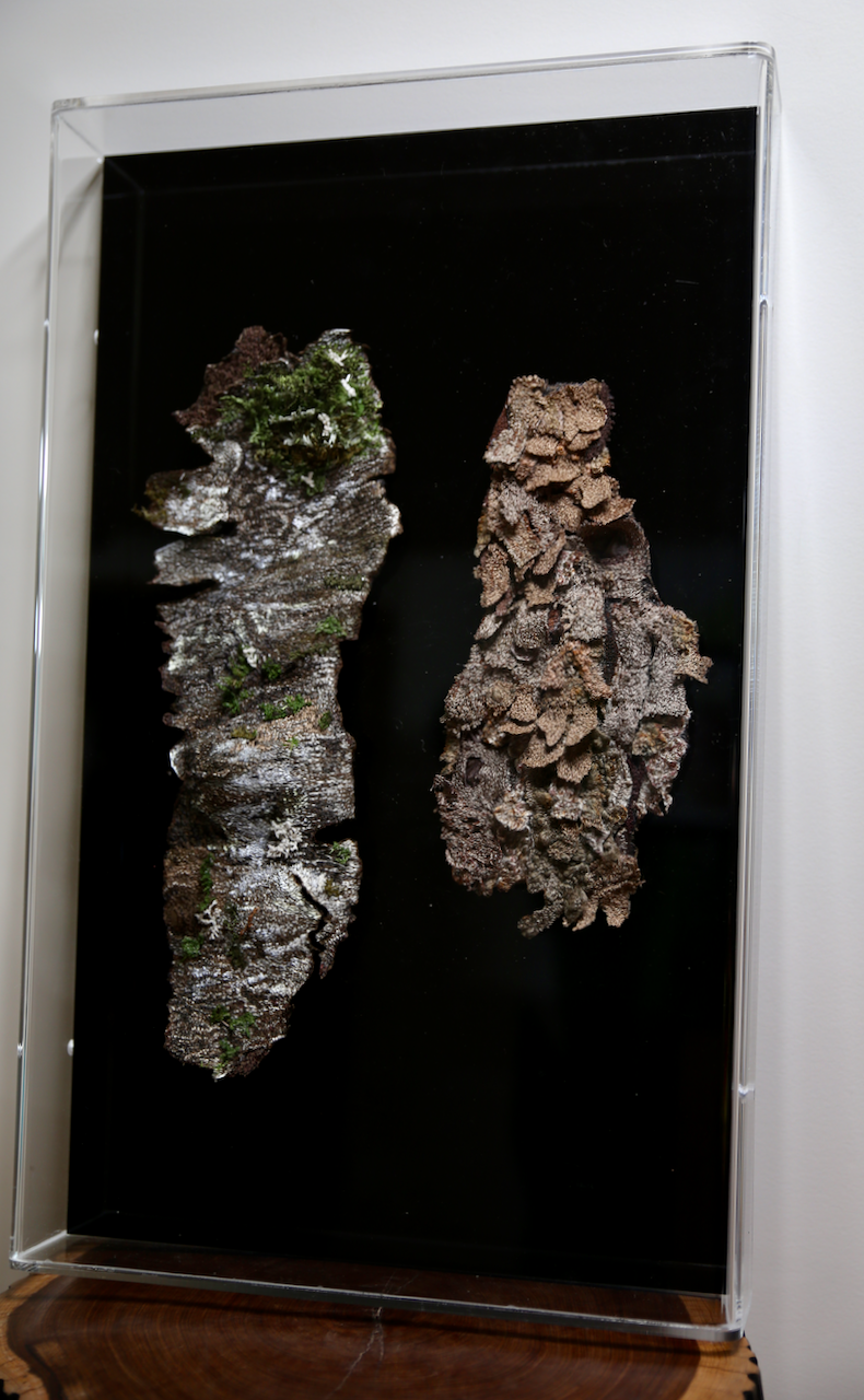 Silver birch and cabbage tree bark 3D sculptural embroidery.