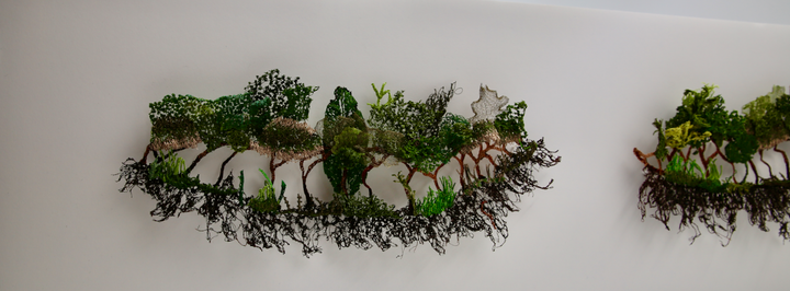 Slice of Nature 3D Thread Sculpture.