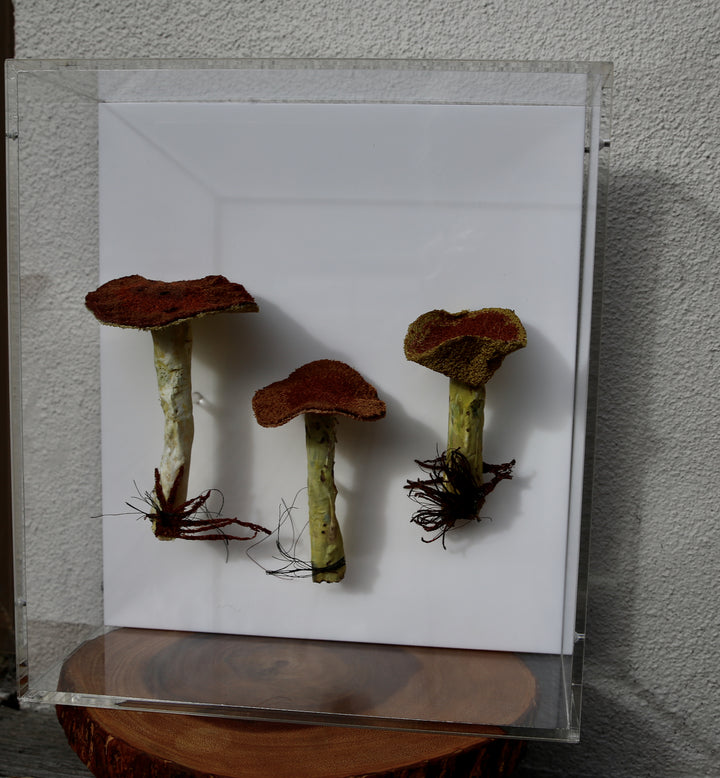 Dotted-stalked Suillus fungi 3D Thread Sculpture.