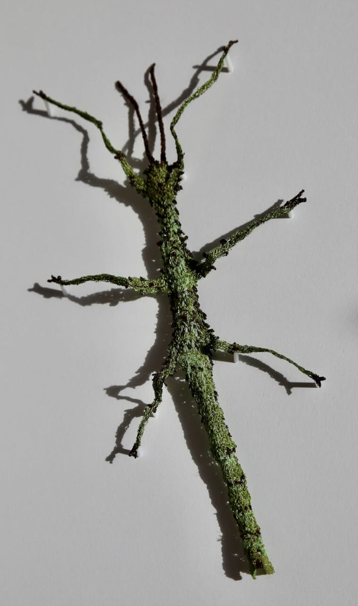 Prickly stick insect 3D Thread Sculpture #2.