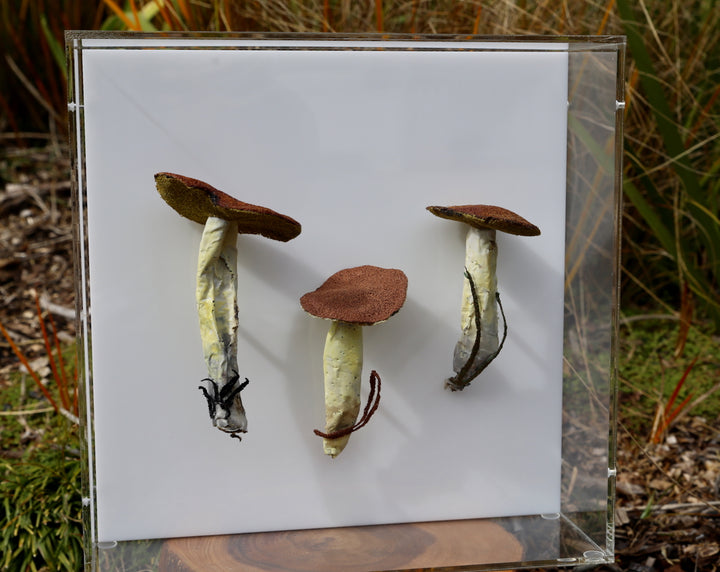 Dotted-stalked Suillus fungi 3D Thread Sculpture. #2