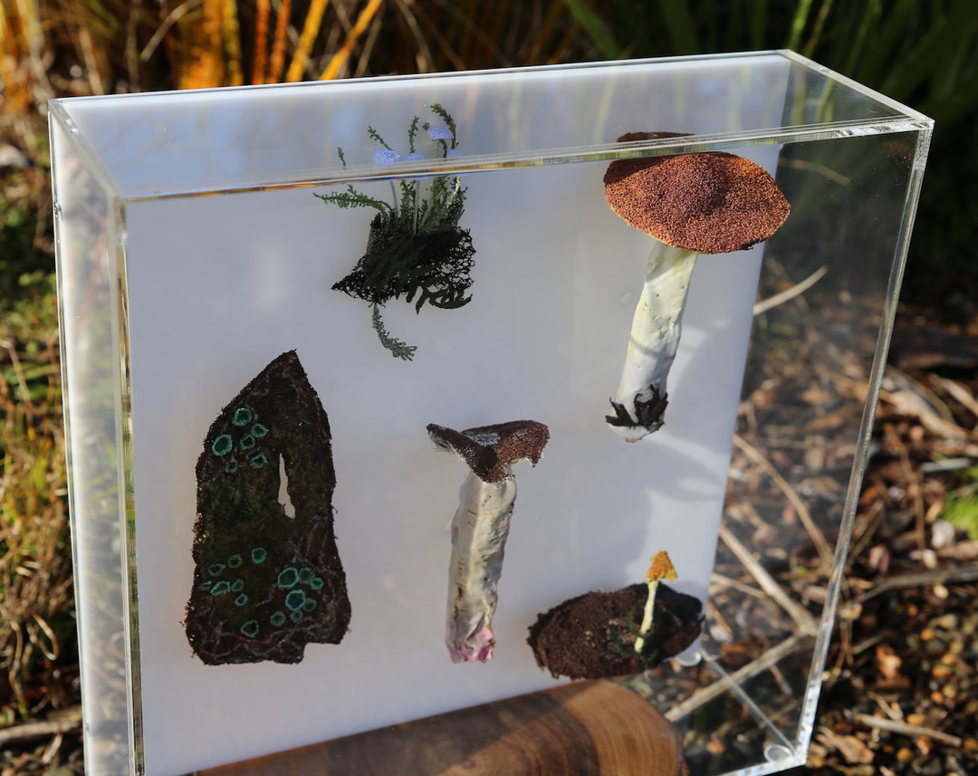 Fungi of New Zealand 3D Thread Sculpture #17.