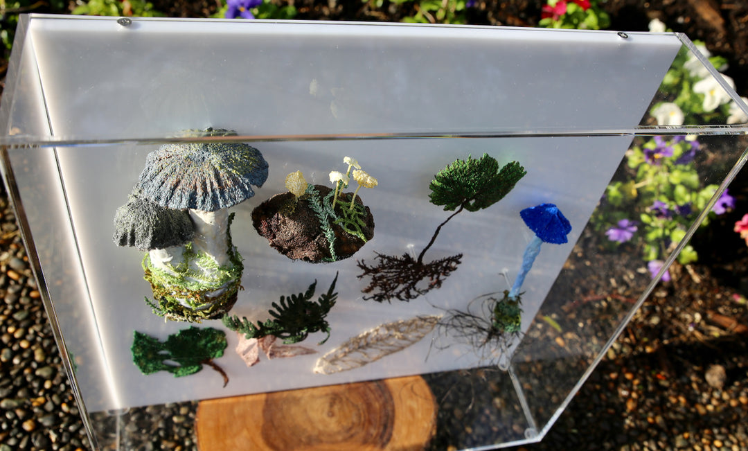 Fungi & ferns of New Zealand 3D Thread Sculpture. (commission)