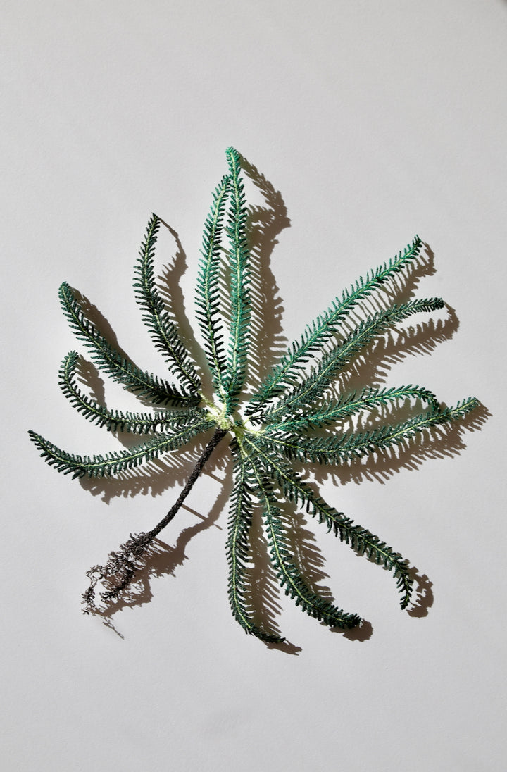 Umbrella Fern 3D Thread Sculpture.