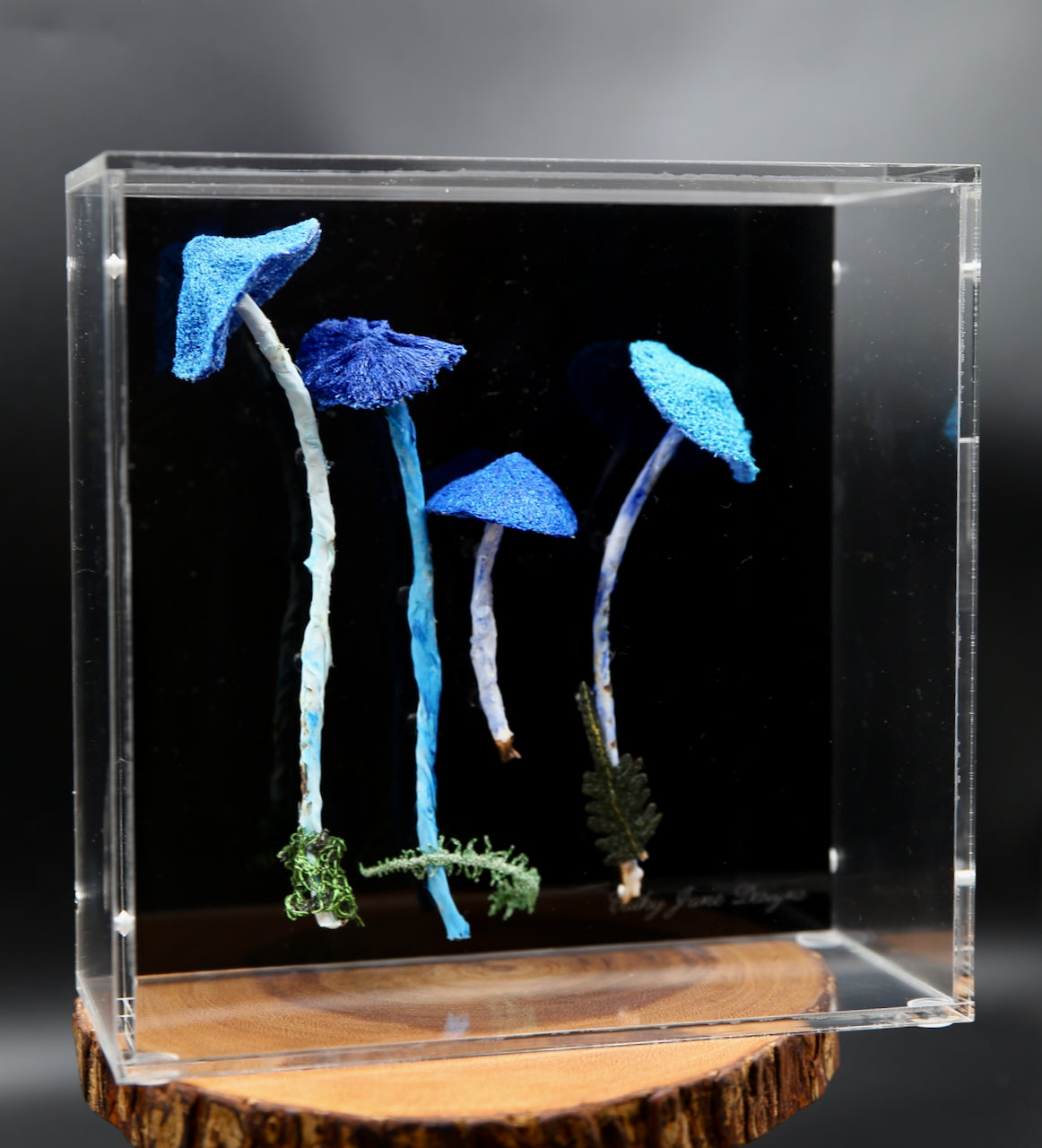 Werewere Kokako Fungi 3D Thread Sculpture #12.