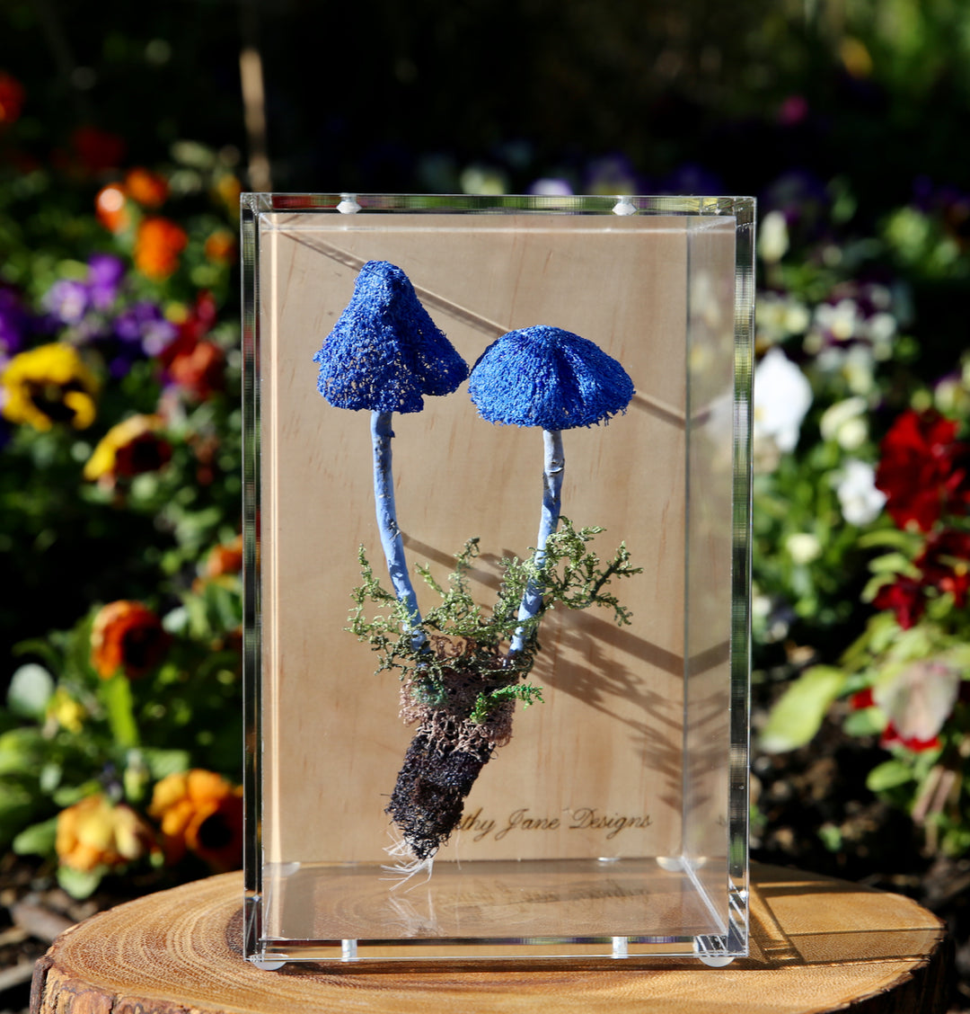 Werewere Kokako Fungi 3D Thread Sculpture #15.