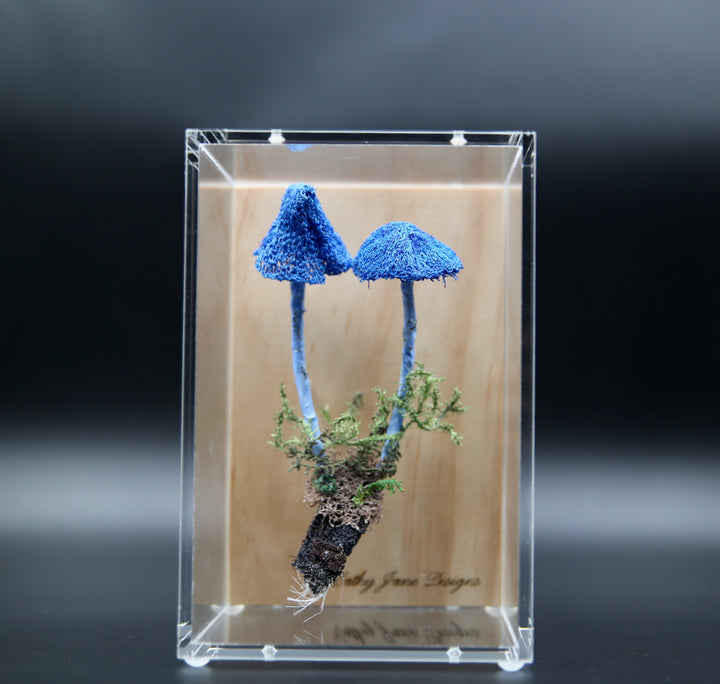 Werewere Kokako Fungi 3D Thread Sculpture #15.
