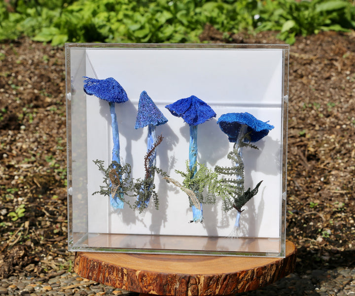 Werewere Kokako Fungi 3D Thread Sculpture #16.