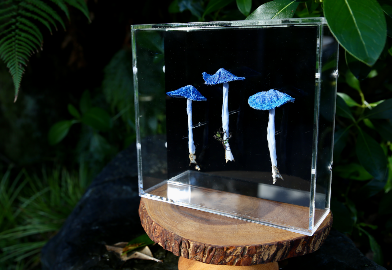 Werewere Kokako Fungi #2  3D sculptural embroidery.