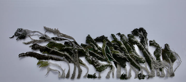 Windblown - Slope Point 3D Thread Sculpture.