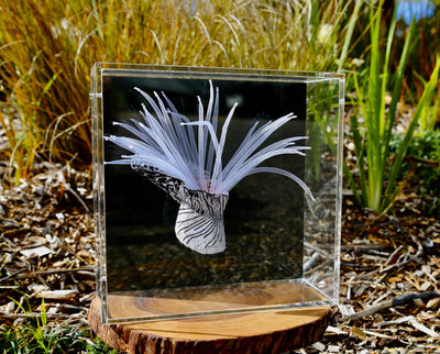 Zebra striped sea anemone 3d thread sculpture.