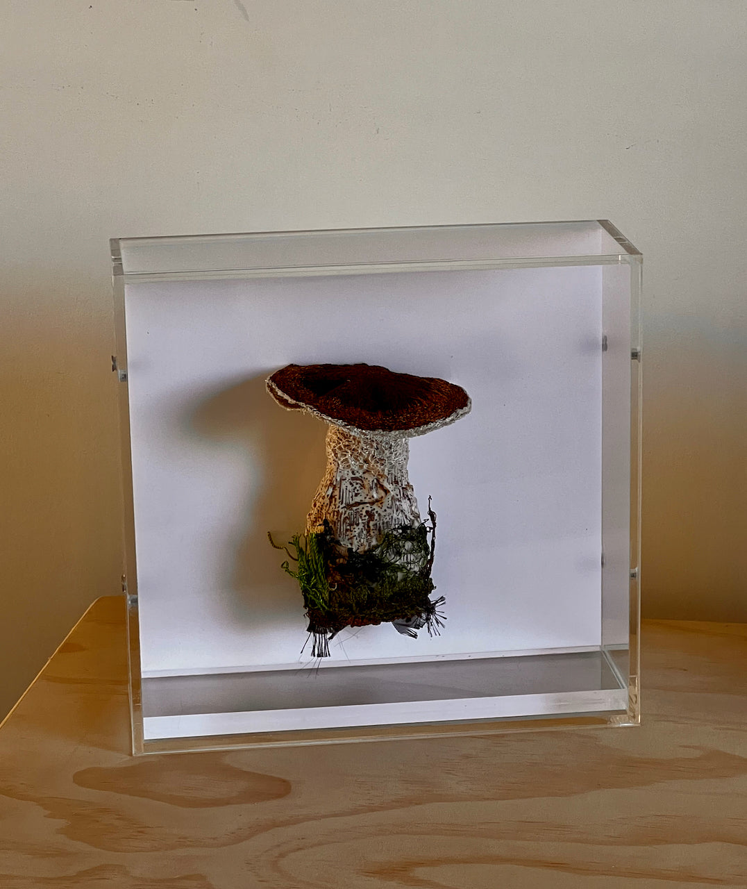 Birch Bolete fungi  3D sculpture.