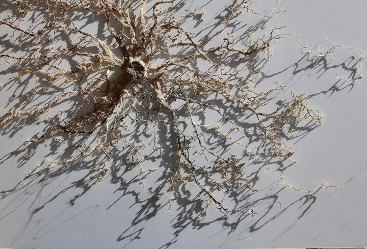 Intertwined Roots. 3D Thread Sculpture. (Finalist for Golden art award).
