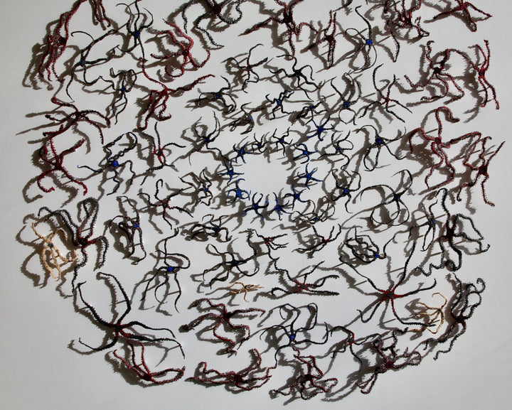Extroardinary echinoderms (brittlestars).  3d fibre art.