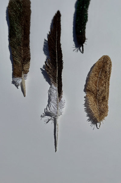 NZ bird feathers 3D Thread Sculpture. #6