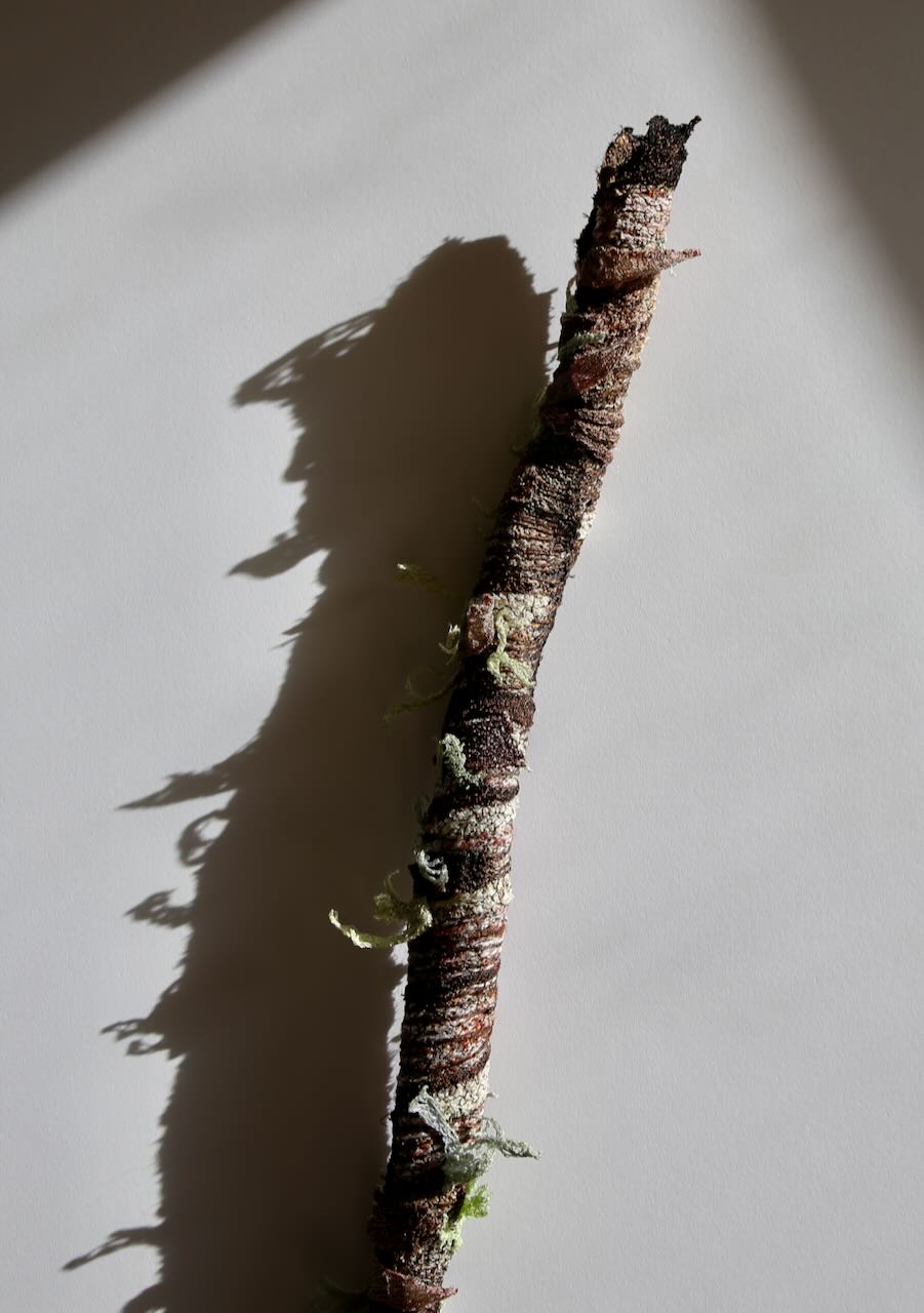 Native branchlet and lichen 3D Thread Sculpture. #3.