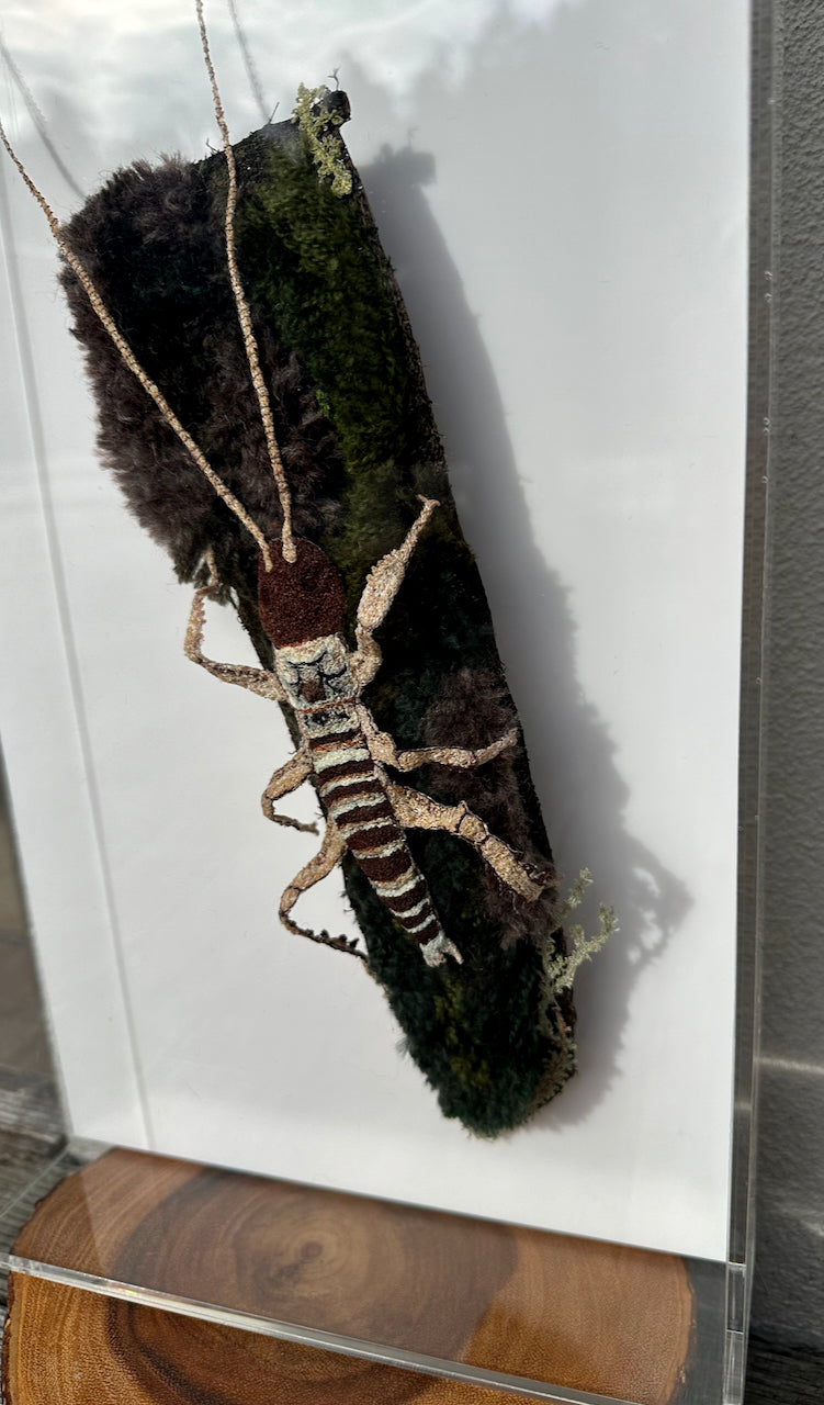 Weta (male) 3D Thread Sculpture.