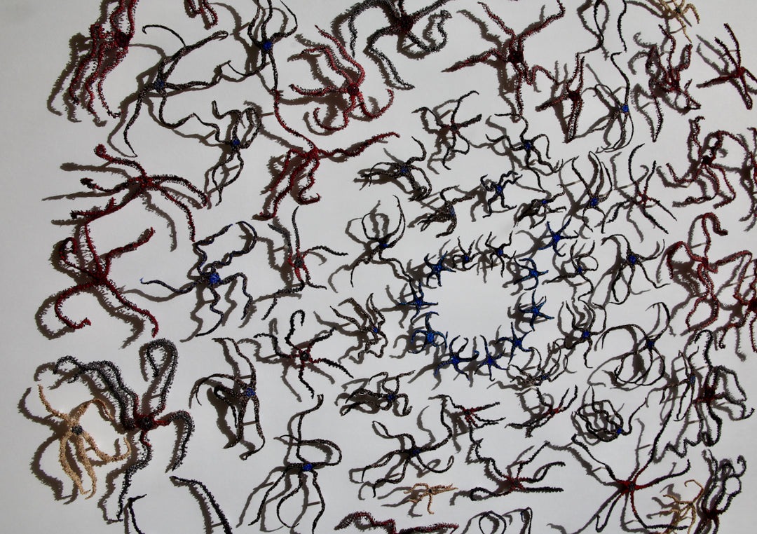 Extroardinary echinoderms (brittlestars).  3d fibre art.