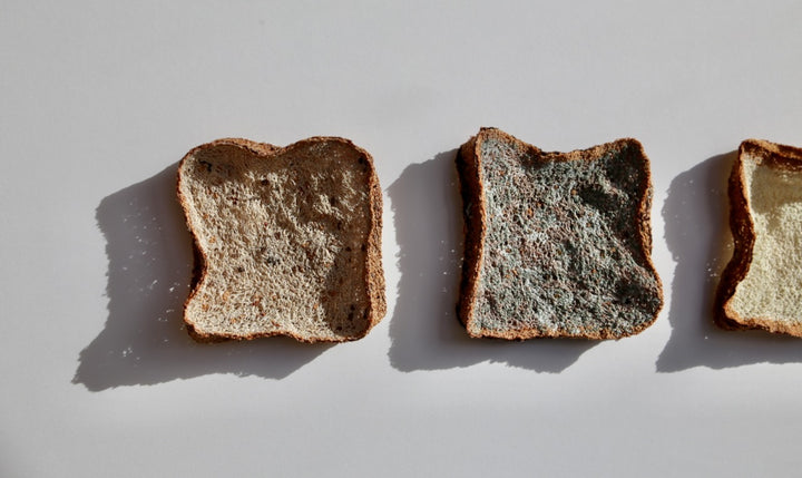 Bread Trio. 3D Thread Sculptures.