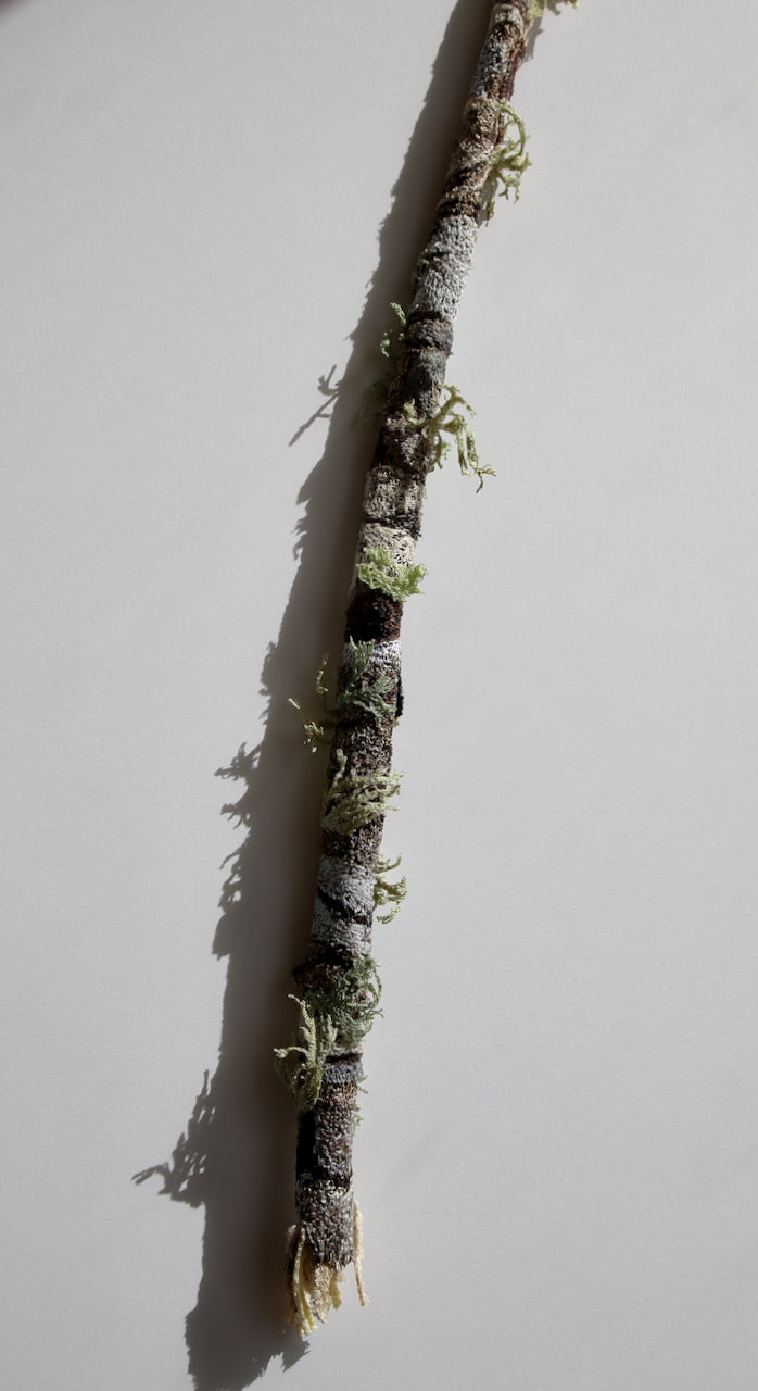 Native branchlet and lichen 3D Thread Sculpture. #2