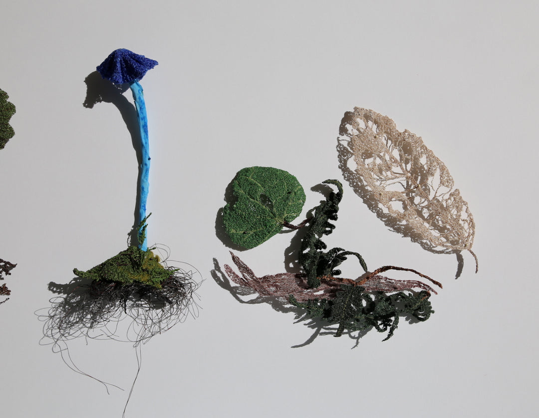 Forest Floor species 3D Thread Sculpture.