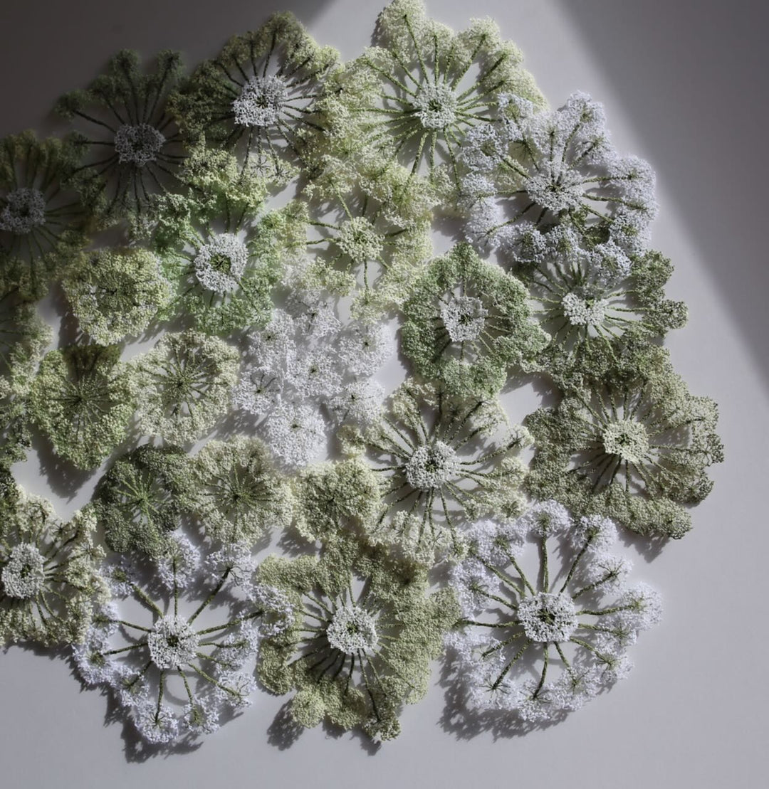 Queen Anne's lace #6. 3D Thread Sculpture.