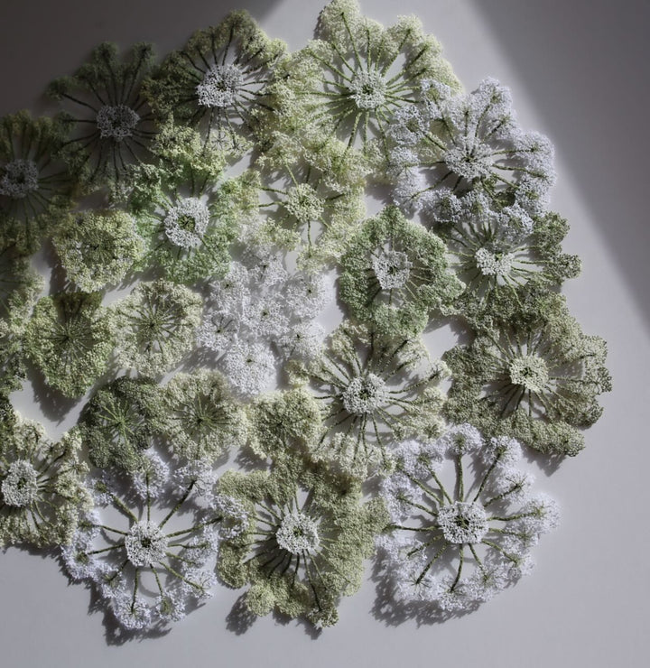 Queen Anne's lace #6. 3D Thread Sculpture.