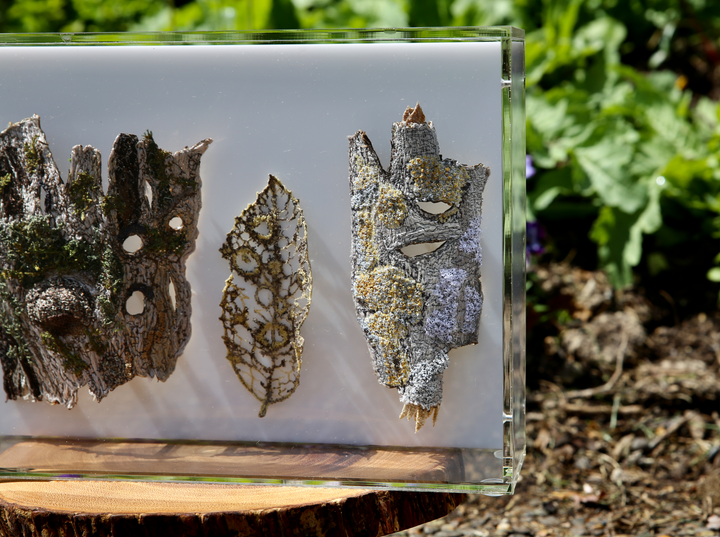 Textures of the forest. 3D Fibre Art.