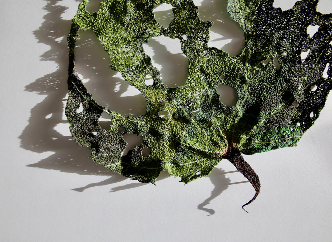 Giant Kawakawa Leaf. #10.  3D Fibre art.