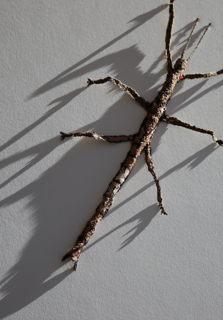 Smooth stick insect 3D Thread Sculpture