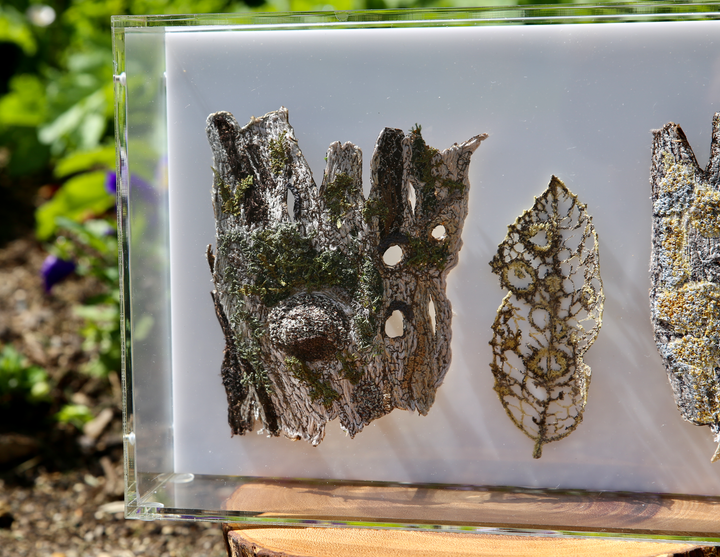 Textures of the forest. 3D Fibre Art.