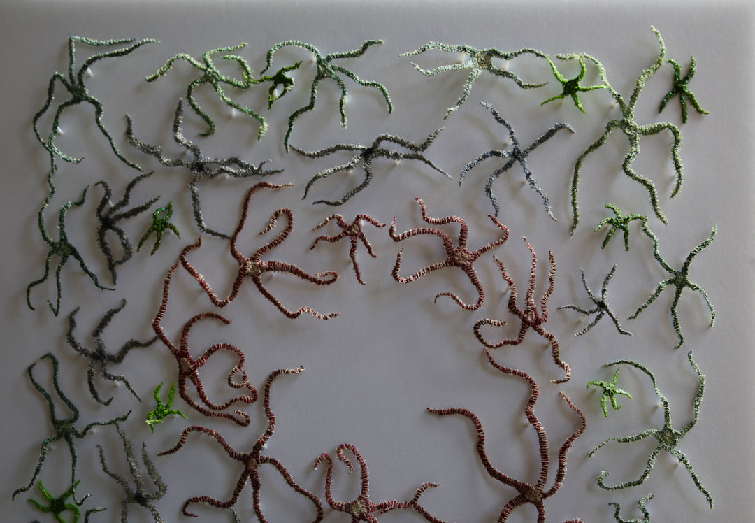 Brittlestar bed.  3d fibre art.