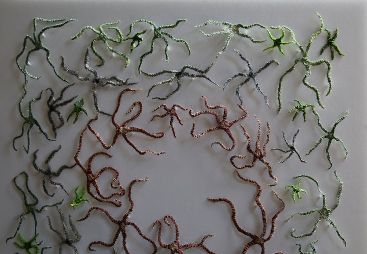 Brittlestar bed.  3d fibre art.