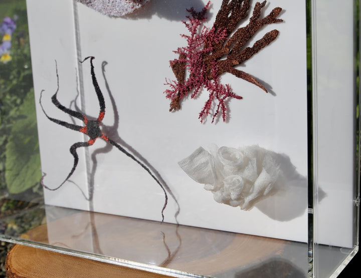 NZ Under the Sea 3d thread sculpture.