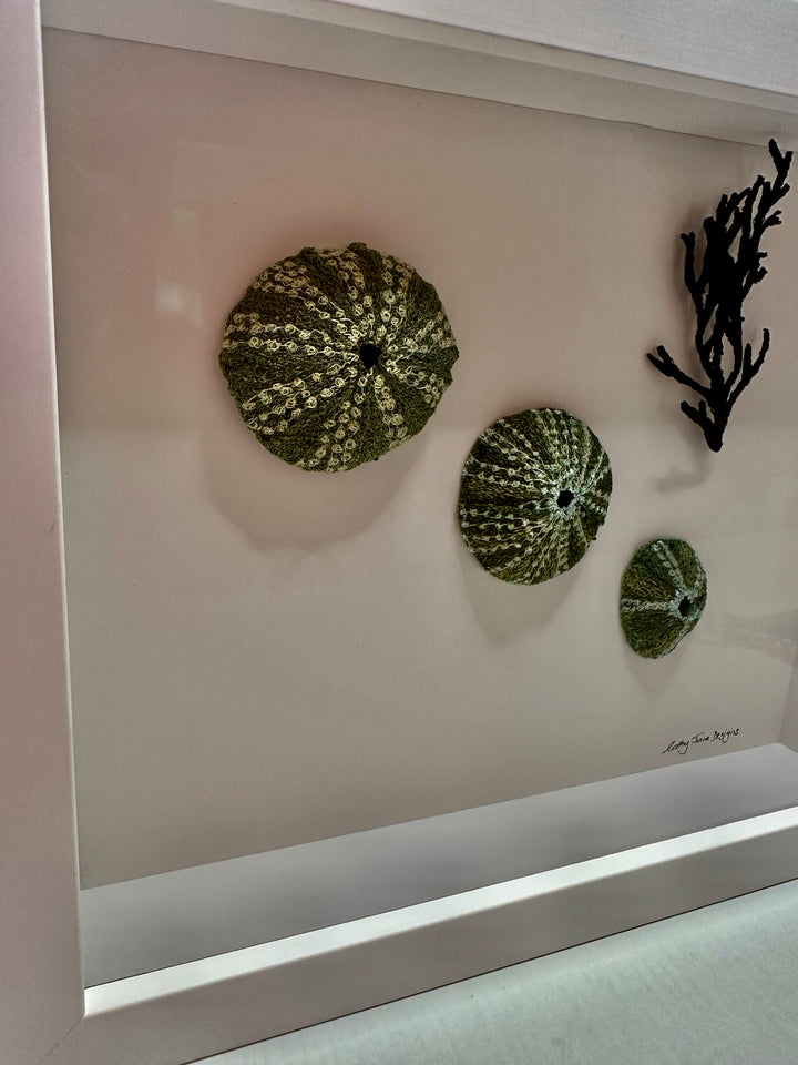 Kina Shells 3D Thread Sculpture #4.