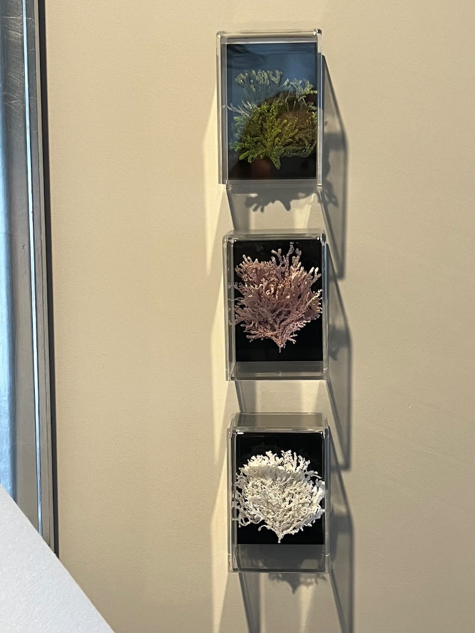 White Seaweed 3D Thread Sculpture.