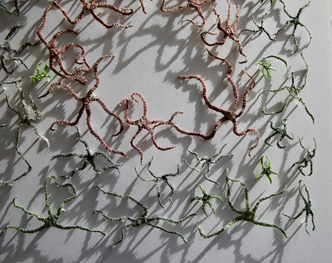 Brittlestar bed.  3d fibre art.