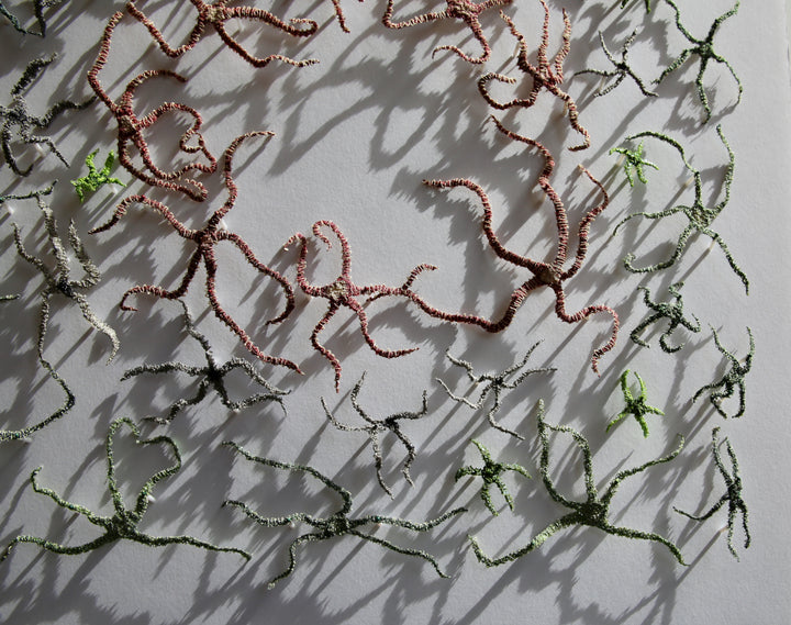 Brittlestar bed.  3d fibre art.