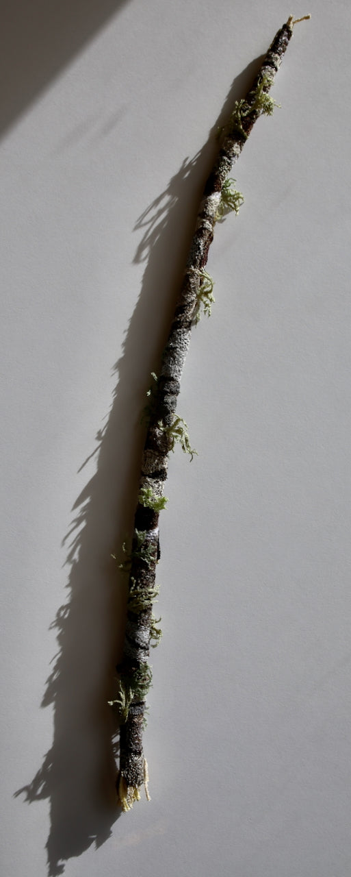 Native branchlet and lichen 3D Thread Sculpture. #2