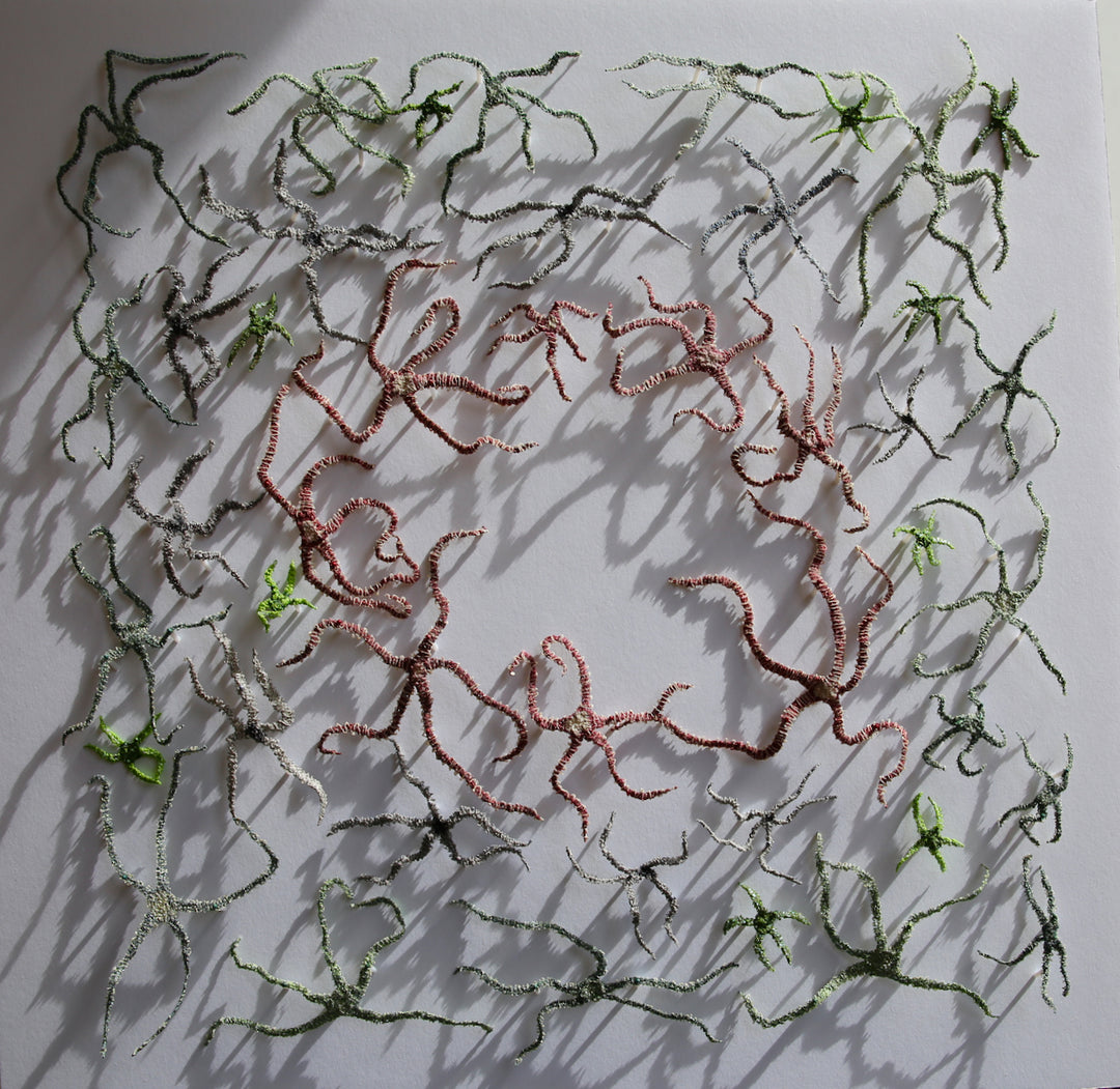 Brittlestar bed.  3d fibre art.