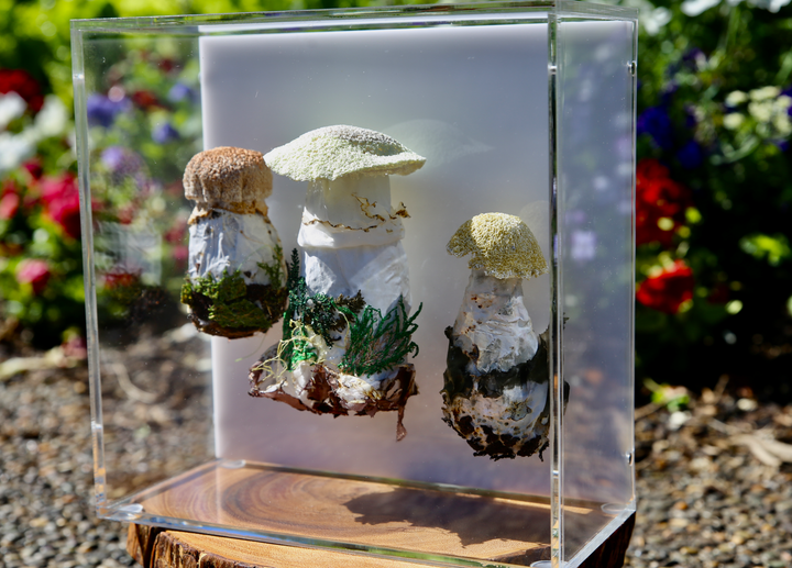Fungi of New Zealand 3D Fibre Art #22.