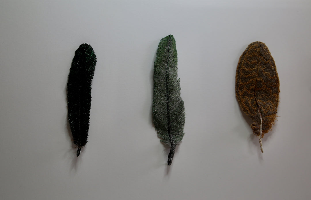 NZ bird feathers 3D Thread Sculpture. #3.