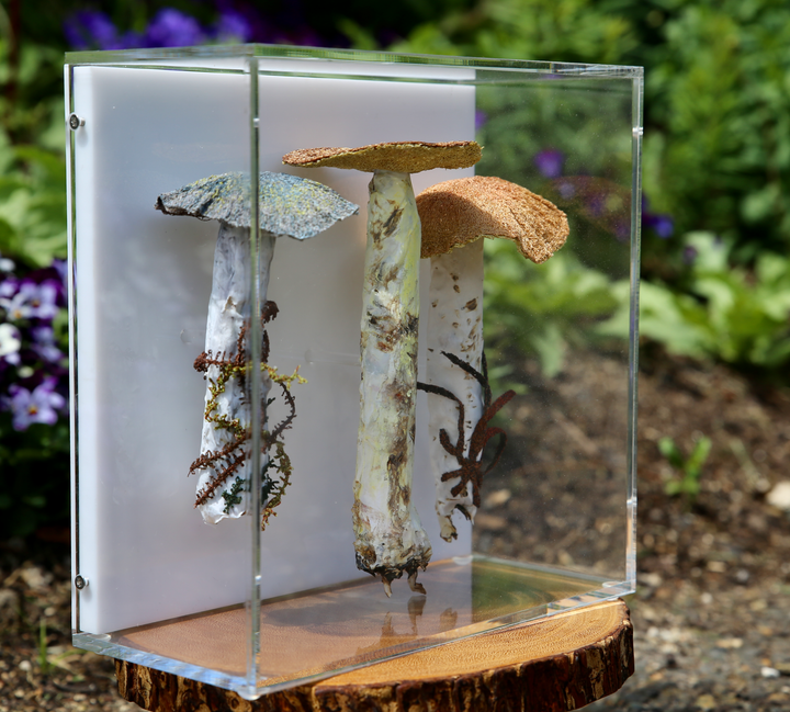 Fungi of New Zealand 3D Fibre Art #23.
